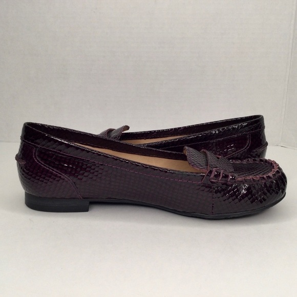 Arturo‎ Chiang snake embossed gorgeous flats. - Picture 3 of 10